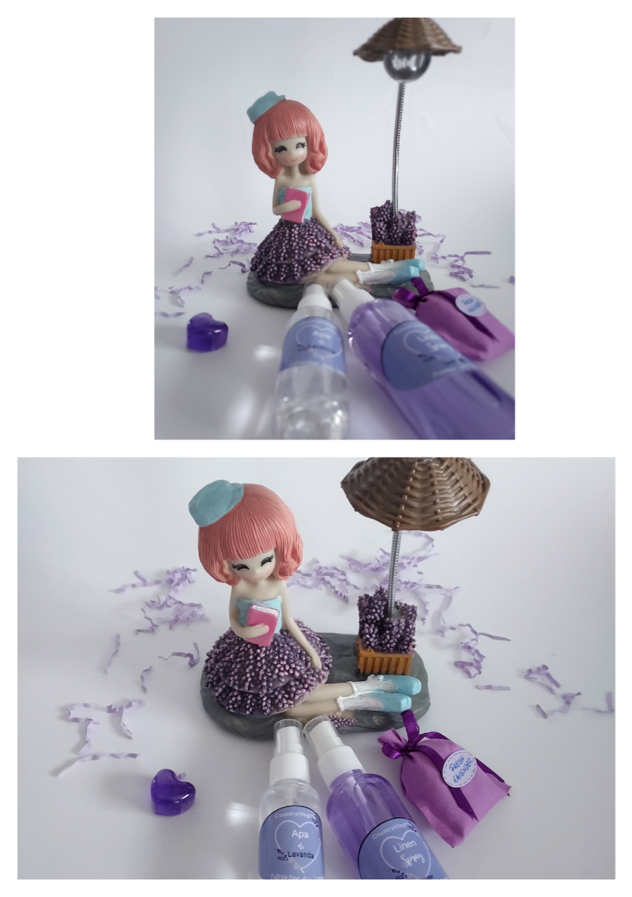 Lady lavender and her gift